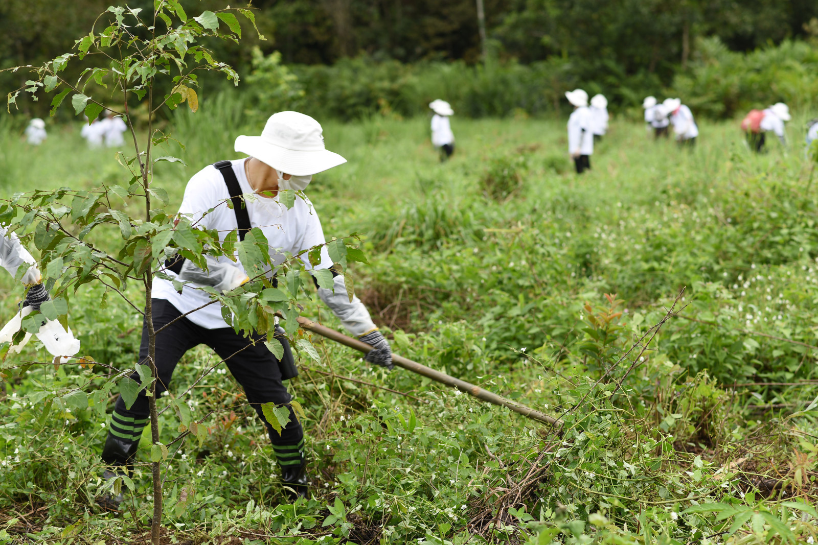 L'Oréal thực hiện cam kết Trồng rừng cho Tương lai tại VQG Cát Tiên
