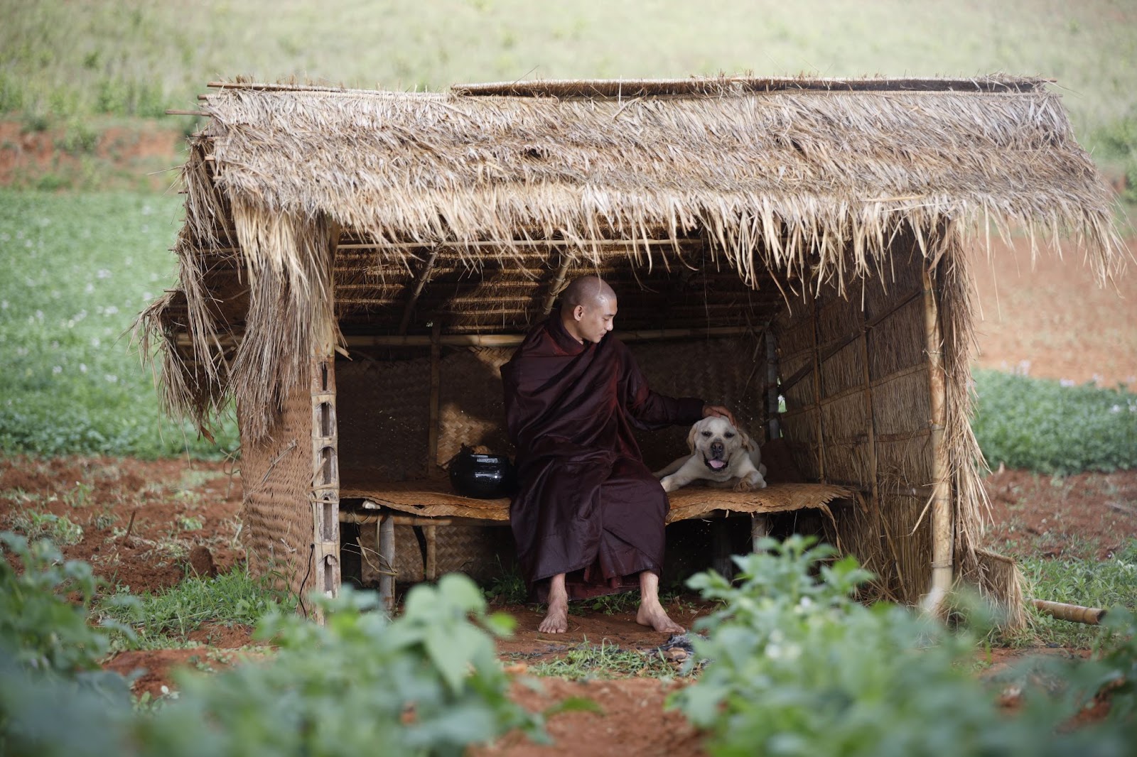 Mô tả hình