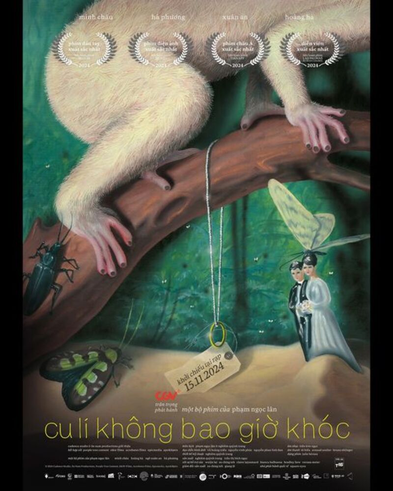 Mô tả hình