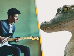  Shawn Mendes khoe giọng hát cực đỉnh trong “Lyle, Lyle, Crocodile” 