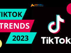 Những xu hướng hàng đầu tháng 05 - 06/2023 trên TikTok